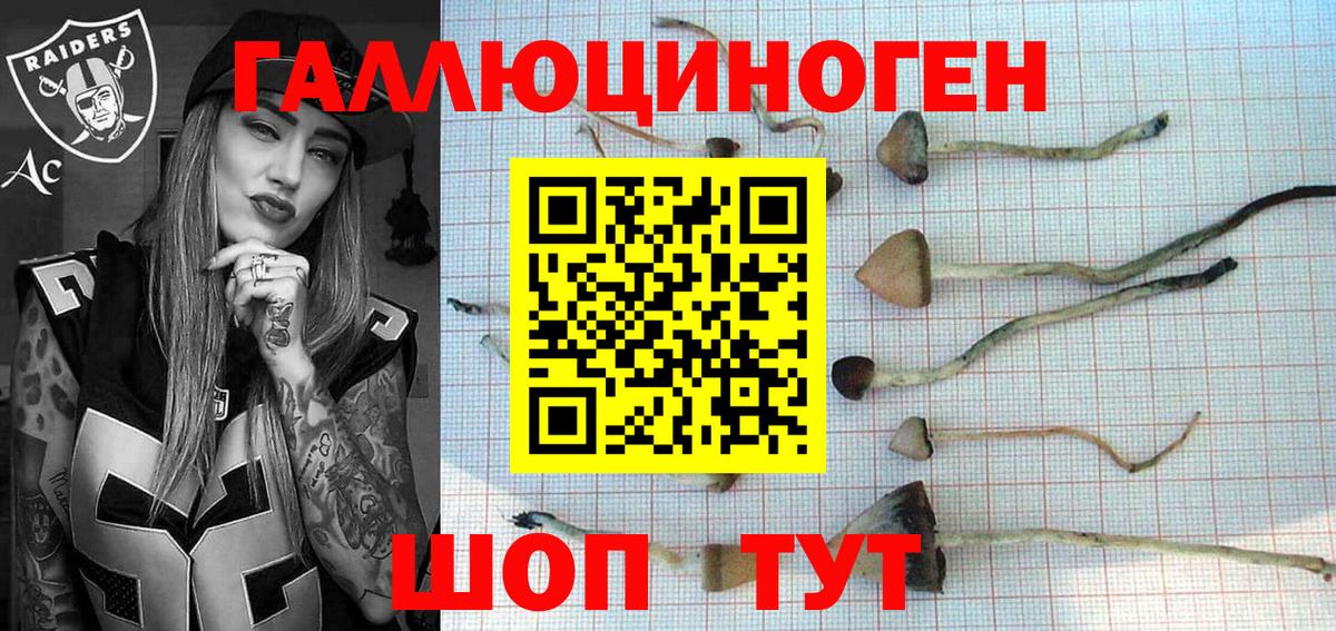 Галлюциногенные грибы GOLDEN TEACHER Калининград
