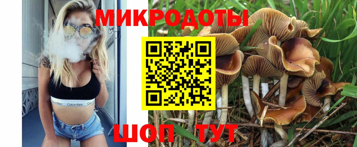NBOMe Калининград