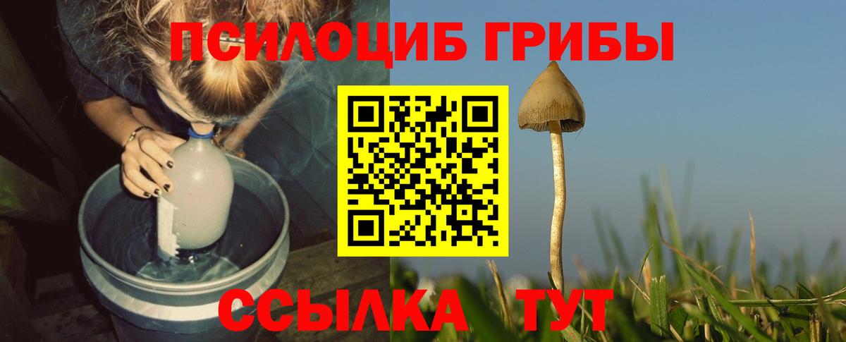 Галлюциногенные грибы Magic Shrooms  купить  цена  Калининград  Вход с VPN 